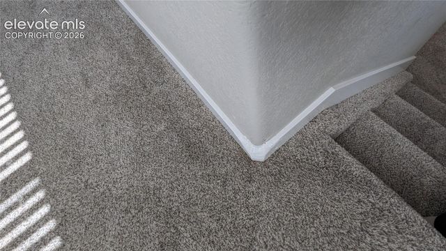4948 Wolf Moon Drive, Colorado Springs, CO 80911