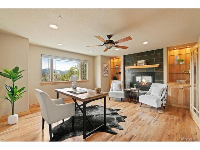 13909 Stone Chimney Ln, Pine, CO 80470