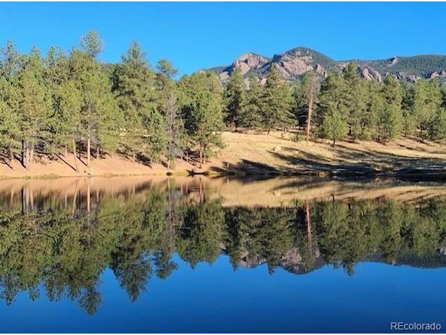 13909 Stone Chimney Ln, Pine, CO 80470