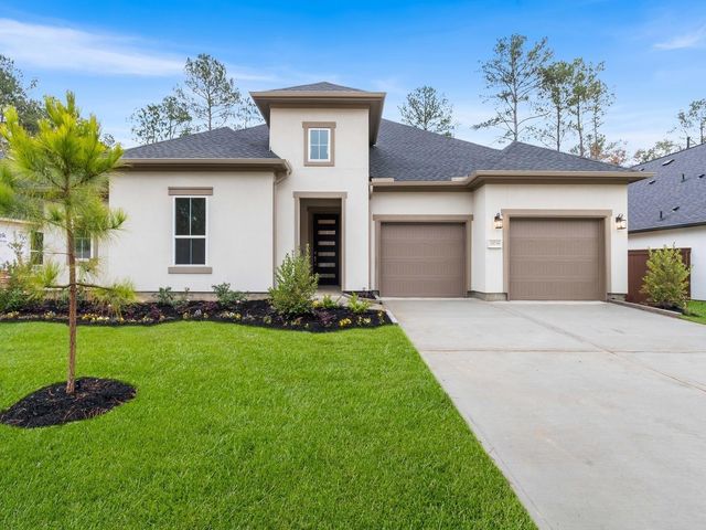 29738 Shady Glade, Magnolia, TX 77354