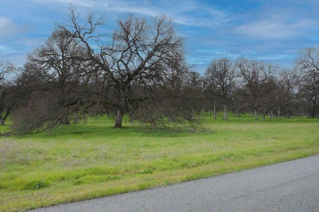 Paul Bunyan Court, Anderson, CA 96007
