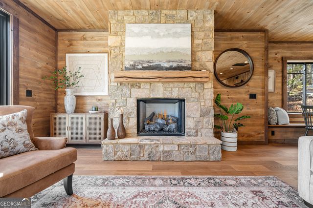 294 Campbell Camp Circle, Blue Ridge, GA 30513