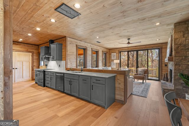 294 Campbell Camp Circle, Blue Ridge, GA 30513