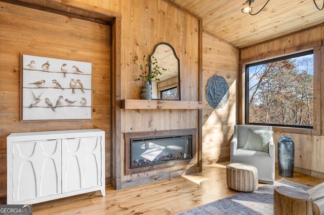 294 Campbell Camp Circle, Blue Ridge, GA 30513