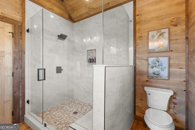 294 Campbell Camp Circle, Blue Ridge, GA 30513