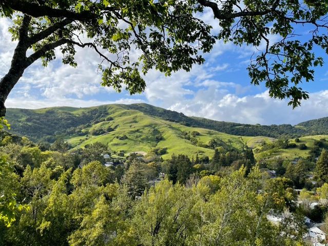 16 Dutch Valley Ln, San Anselmo, CA 94960