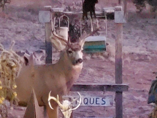 7 Kings Court, Tijeras, NM 87059