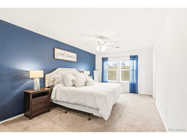 14047 Rock Daisy St, Parker, CO 80134
