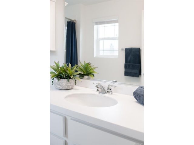 14047 Rock Daisy St, Parker, CO 80134