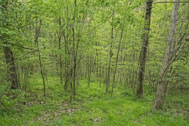 114 Shoreside Dr, Smithville, TN 37166