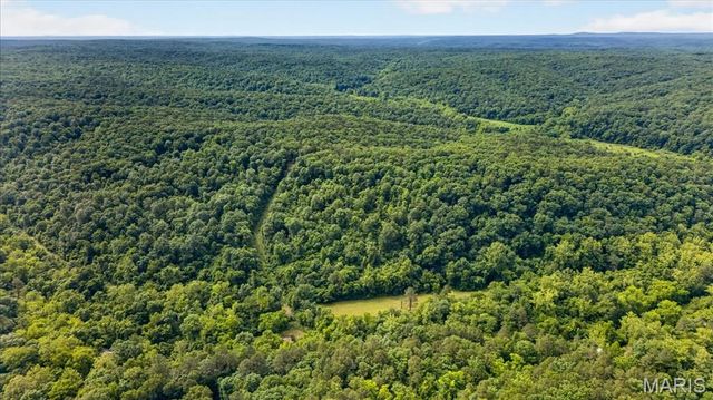 10564 Timberland Drive, Richwoods, MO 63080