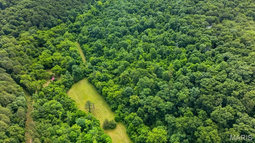 10564 Timberland Drive, Richwoods, MO 63080