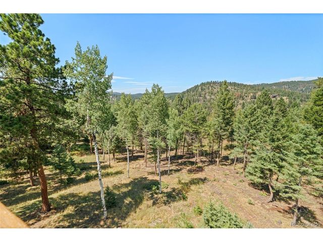 13596 Ponderosa Dr, Conifer, CO 80433