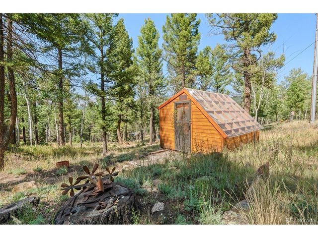 13596 Ponderosa Dr, Conifer, CO 80433