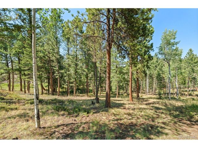 13596 Ponderosa Dr, Conifer, CO 80433