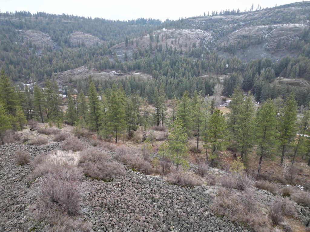 33055 Hawk Creek Ranch Rd N Rd, Davenport, WA 99122 photo 4