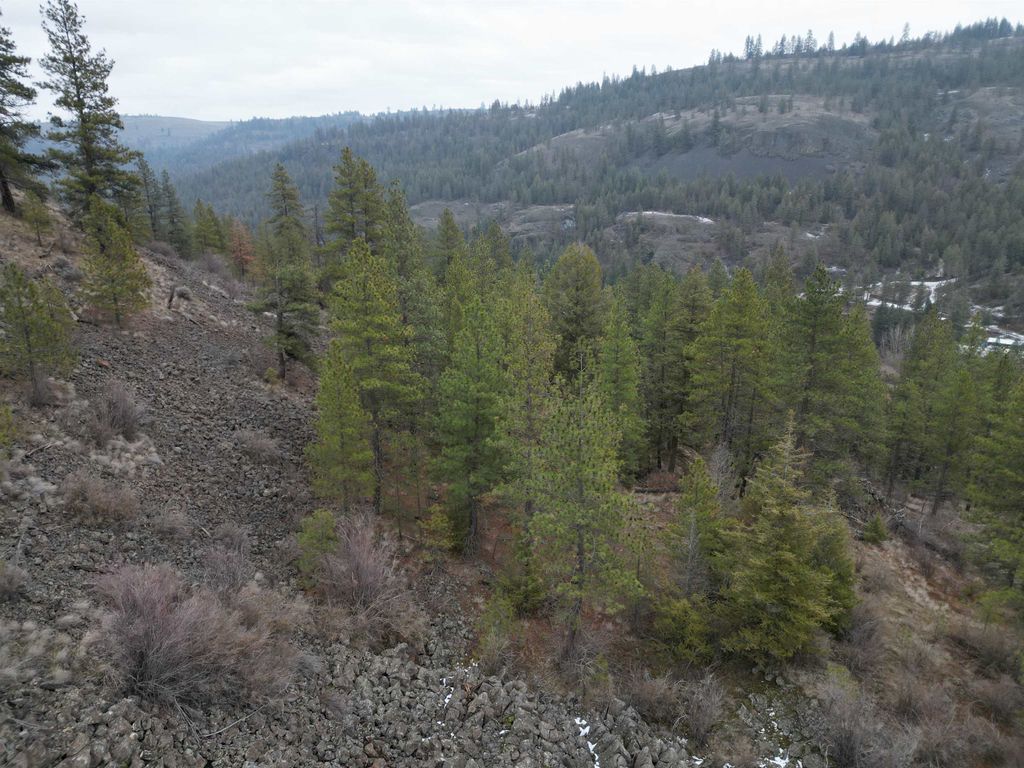 33055 Hawk Creek Ranch Rd N Rd, Davenport, WA 99122 photo 6