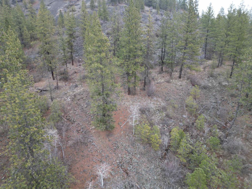 33055 Hawk Creek Ranch Rd N Rd, Davenport, WA 99122 photo 9