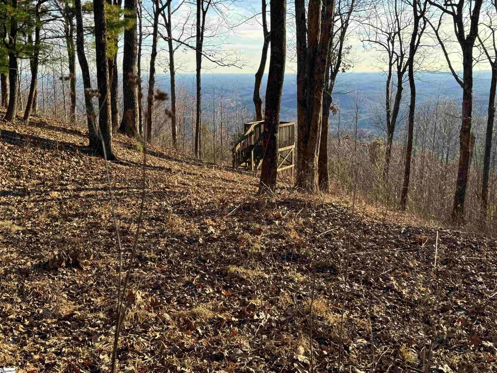 246 Bella Vista Court, Zirconia, NC 28790