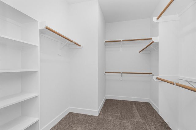 29019 Pine Forest Drive, Magnolia, TX 77355