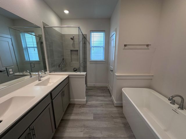 29019 Pine Forest Drive, Magnolia, TX 77355