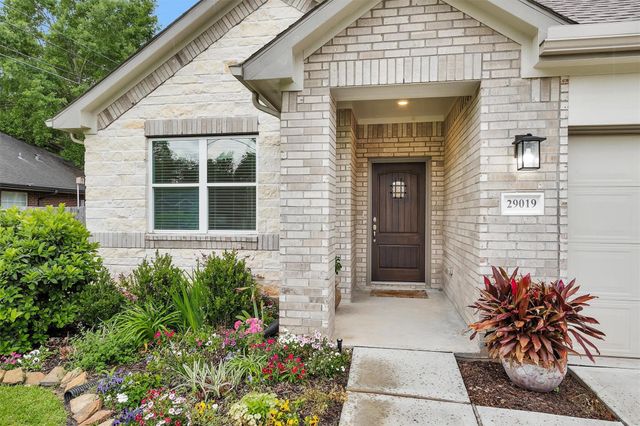 29019 Pine Forest Drive, Magnolia, TX 77355