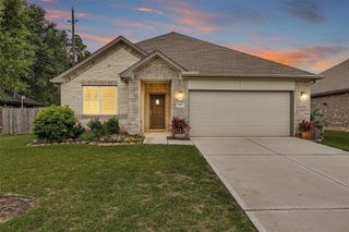 29019 Pine Forest Drive, Magnolia, TX 77355