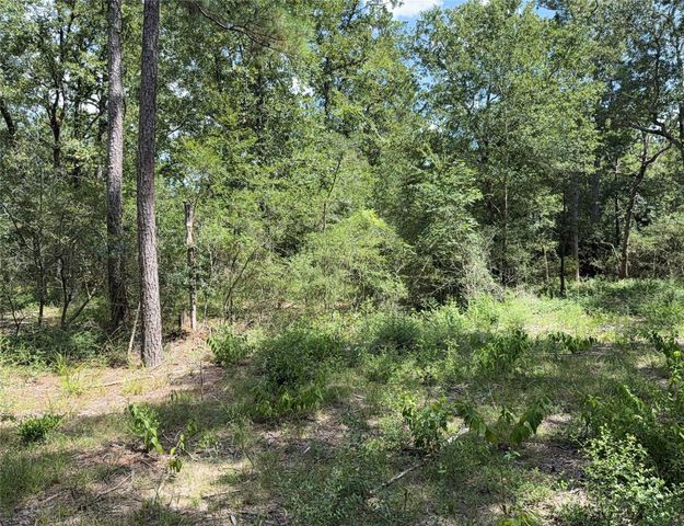 24805 Nottingham Circle, Hockley, TX 77447