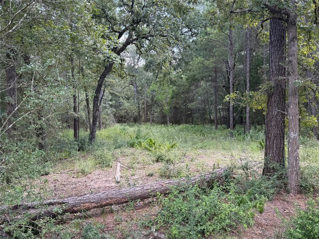 24805 Nottingham Circle, Hockley, TX 77447