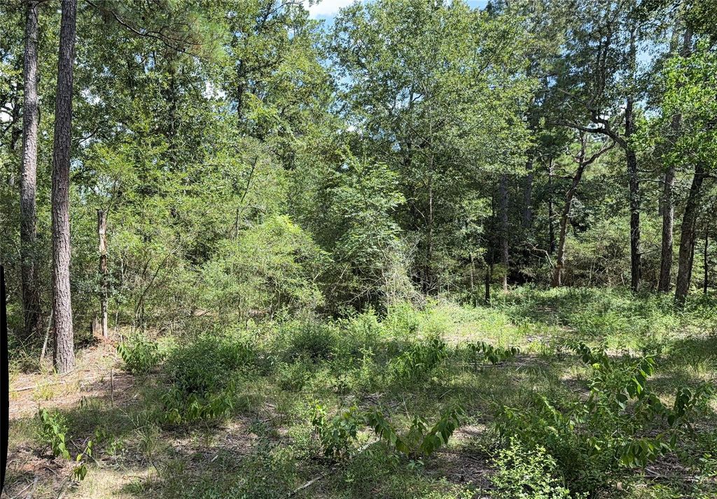 24805 Nottingham Circle, Hockley, TX 77447