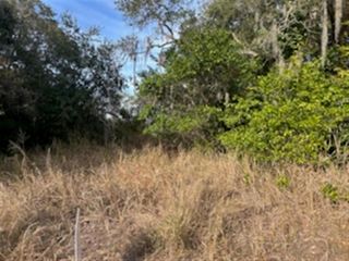 SUNSET TRAIL, Babson Park, FL 33827