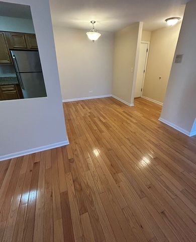 7449 Washington Street 208, Forest Park, IL 60130