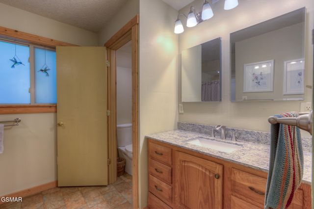 1051 Wiley Oakley Drive, Gatlinburg, TN 37738