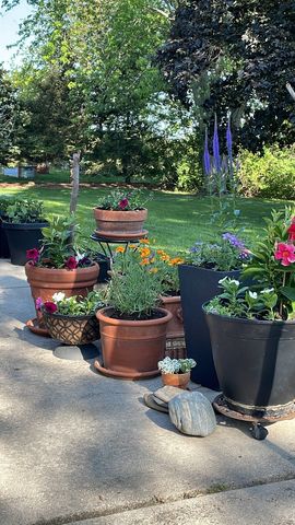 480 Nebraska B Court, Frankfort, IL 60423