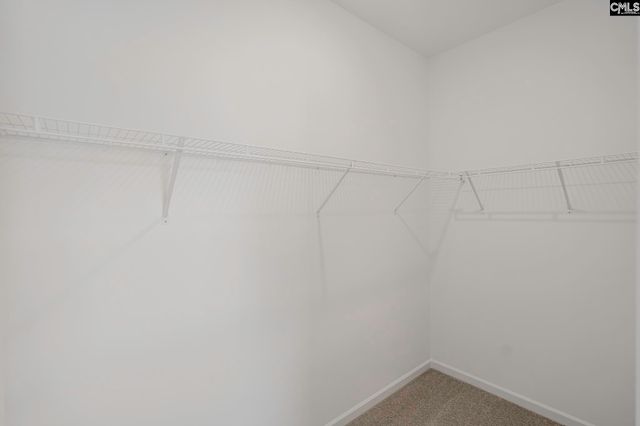 503 Bogarde Terrace, Gilbert, SC 29054