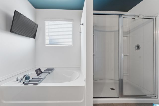 309 FIREBRICK WAY, Kimberly, AL 35091