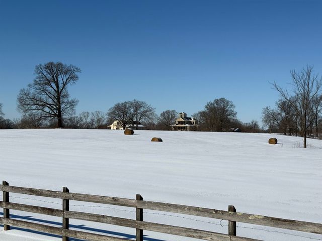 215 SPRINGER RD, Somerville, TN 38068