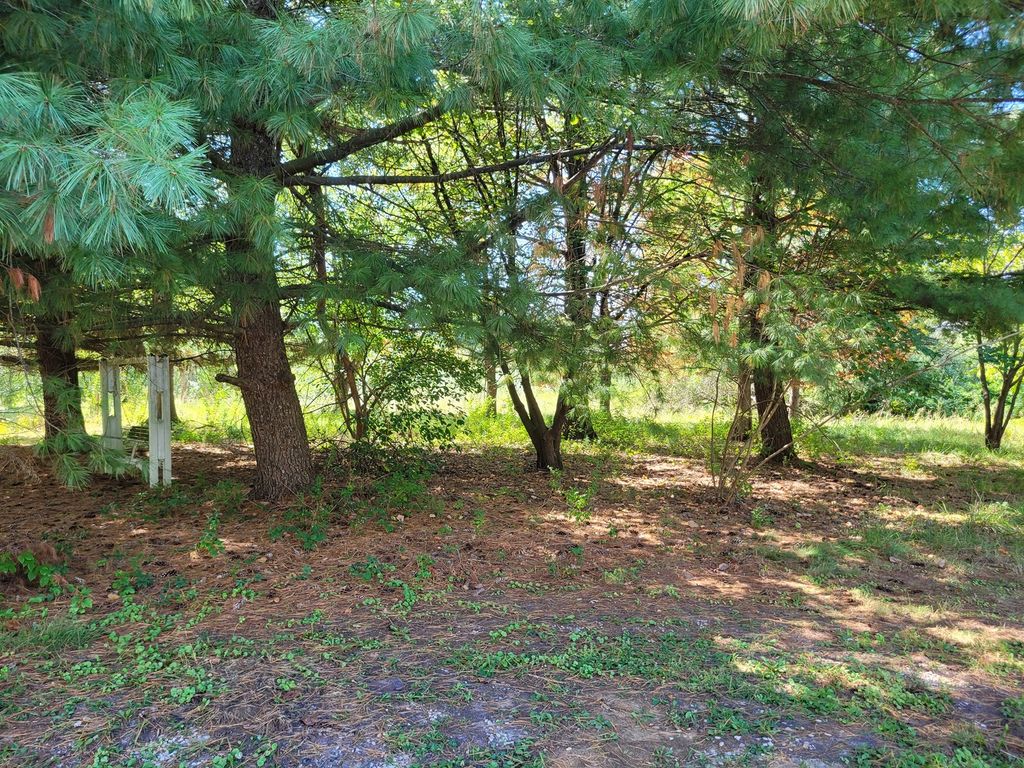 Image 9 of property listing at 11978 E Bunny Farm Road, Mt Vernon, IL 62864