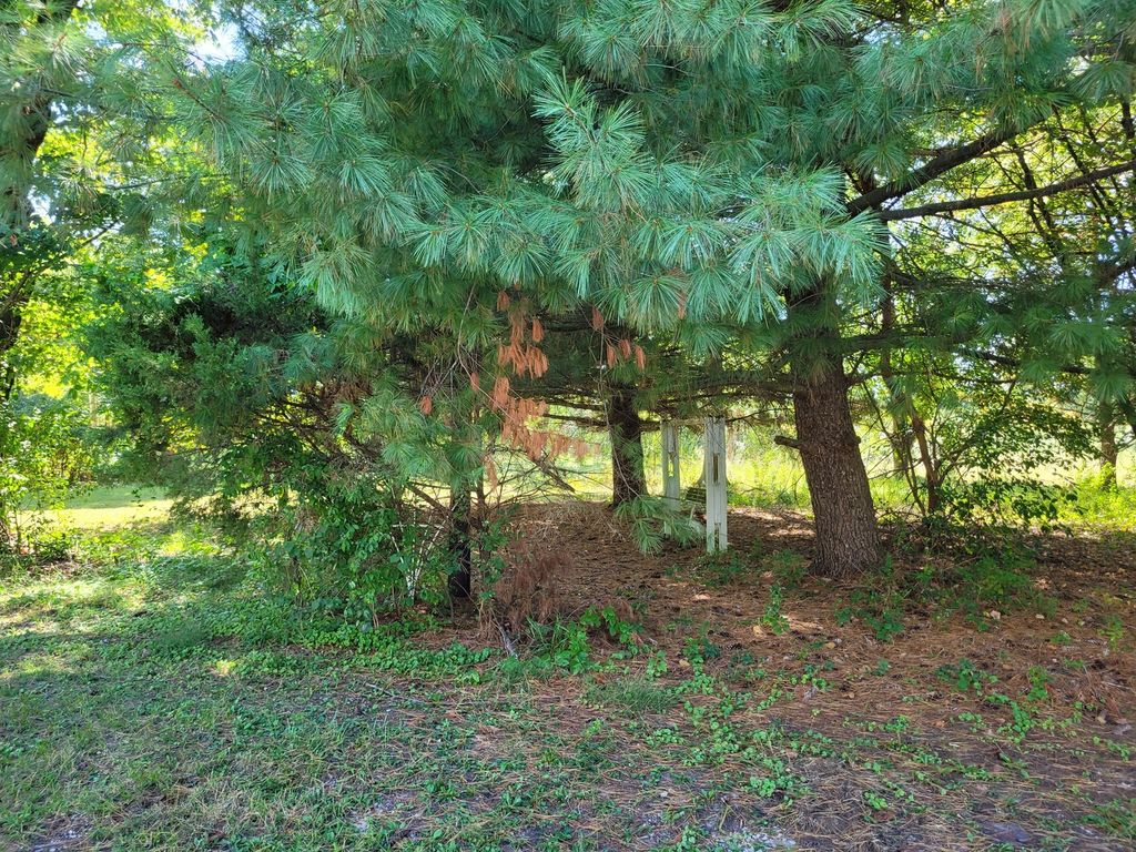 Image 10 of property listing at 11978 E Bunny Farm Road, Mt Vernon, IL 62864