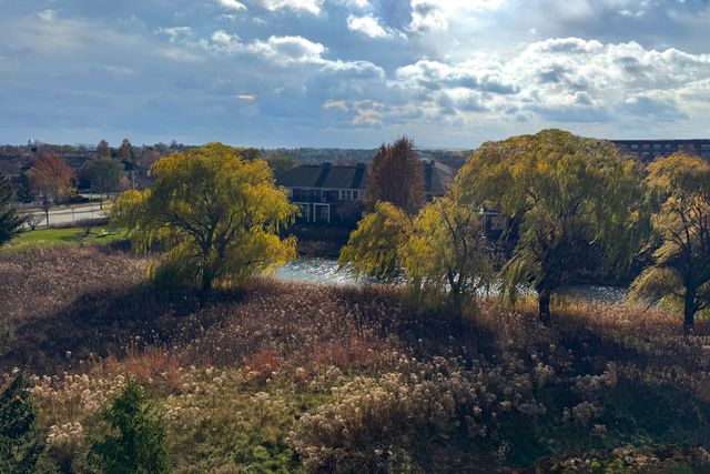 2220 Founders Drive 325, Northbrook, IL 60062