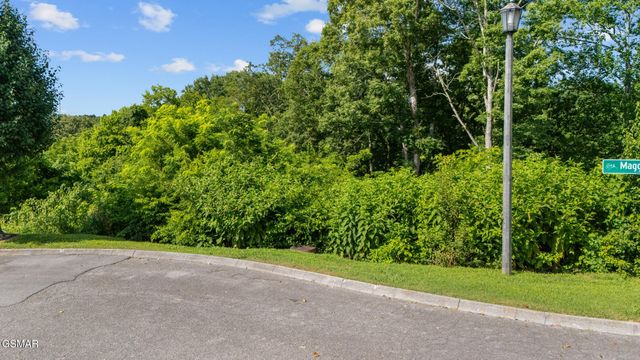 Lot 1R Maggie Mack Lane, Sevierville, TN 37862