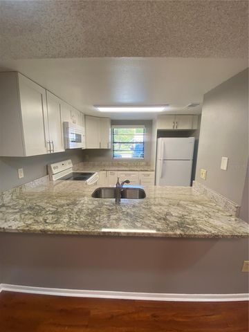 10125 LAKE OAK CIR, Tampa, FL 33624