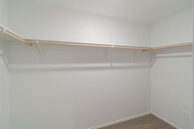 486 Bull Lake CIR, Buda, TX 78610