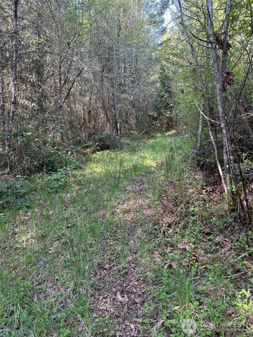 9999 Pristine Lane, Lot 3, Port Angeles, WA 98362