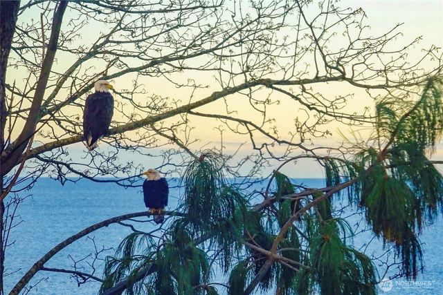 6955 Birch Bay Drive, Blaine, WA 98230