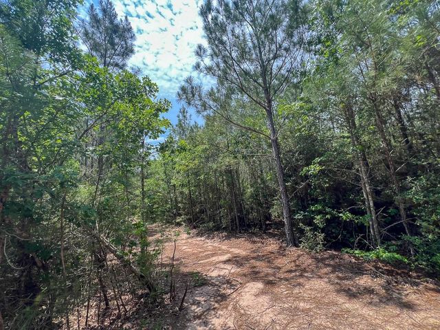 0 Highway 75 North, Huntsville, TX 77340