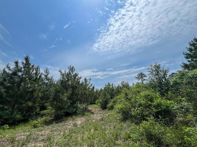 0 Highway 75 North, Huntsville, TX 77340