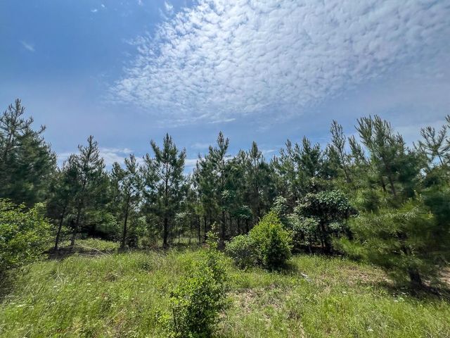 0 Highway 75 North, Huntsville, TX 77340