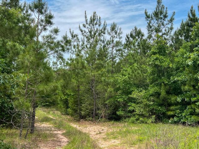 0 Highway 75 North, Huntsville, TX 77340