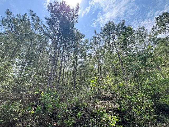 0 Highway 75 North, Huntsville, TX 77340